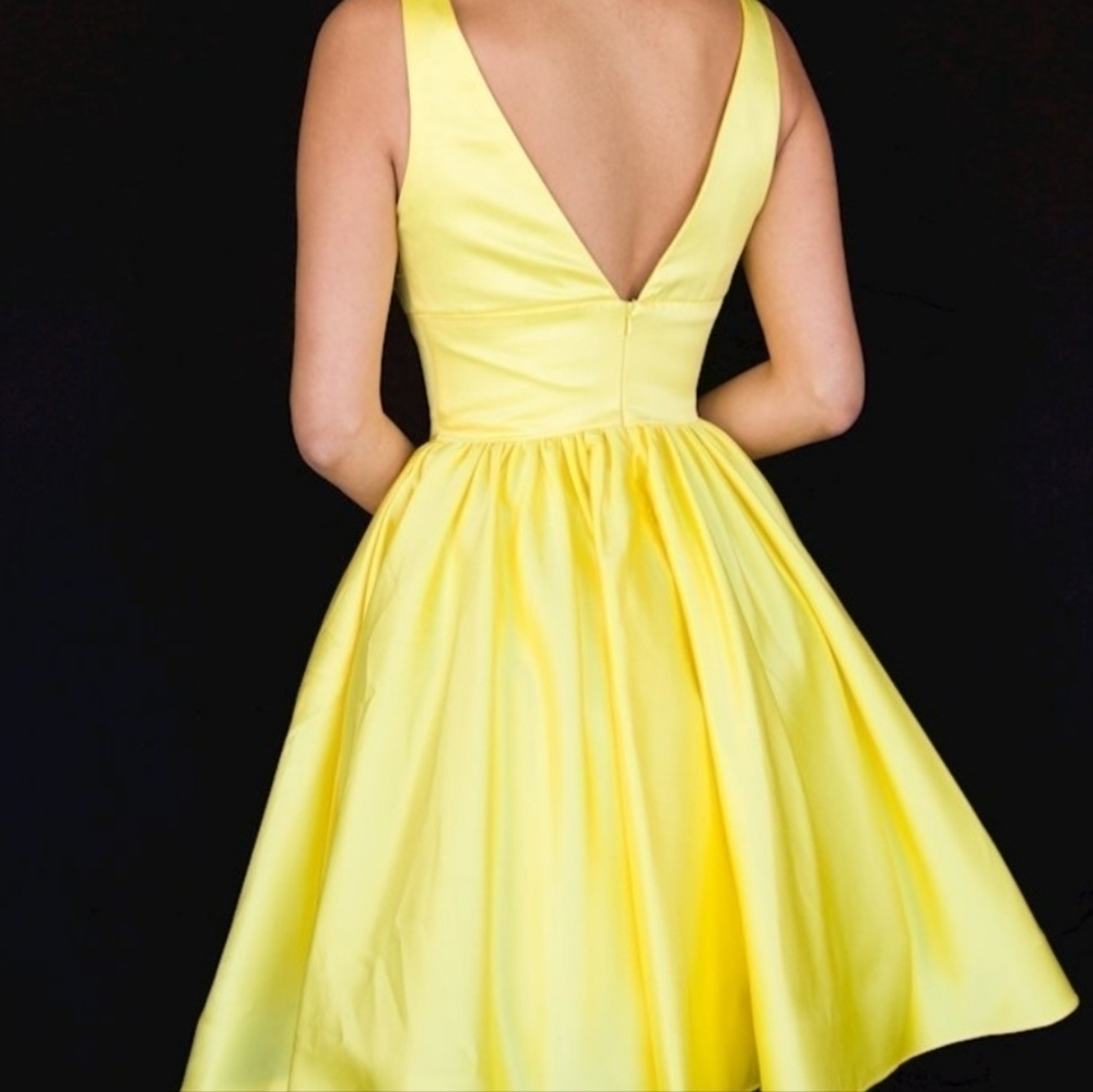Vienna Prom A Line V Neck Dress w Pleated Full Skirt, Mesh Insert, Several Flaws - Picture 3 of 16